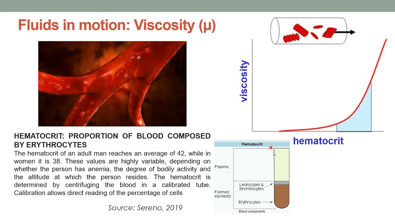 Momentum Transport. Newton's Law of viscosity |  | UPV