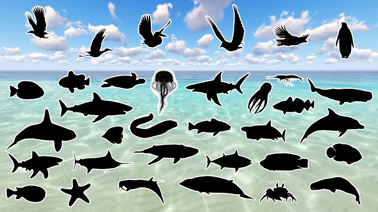 🌍🔍 Adivinhe as Sombras dos Animais! Um Desafio para Crianças Super Curiosas!