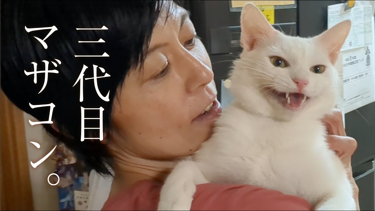 妻に夢中の、元迷い猫。