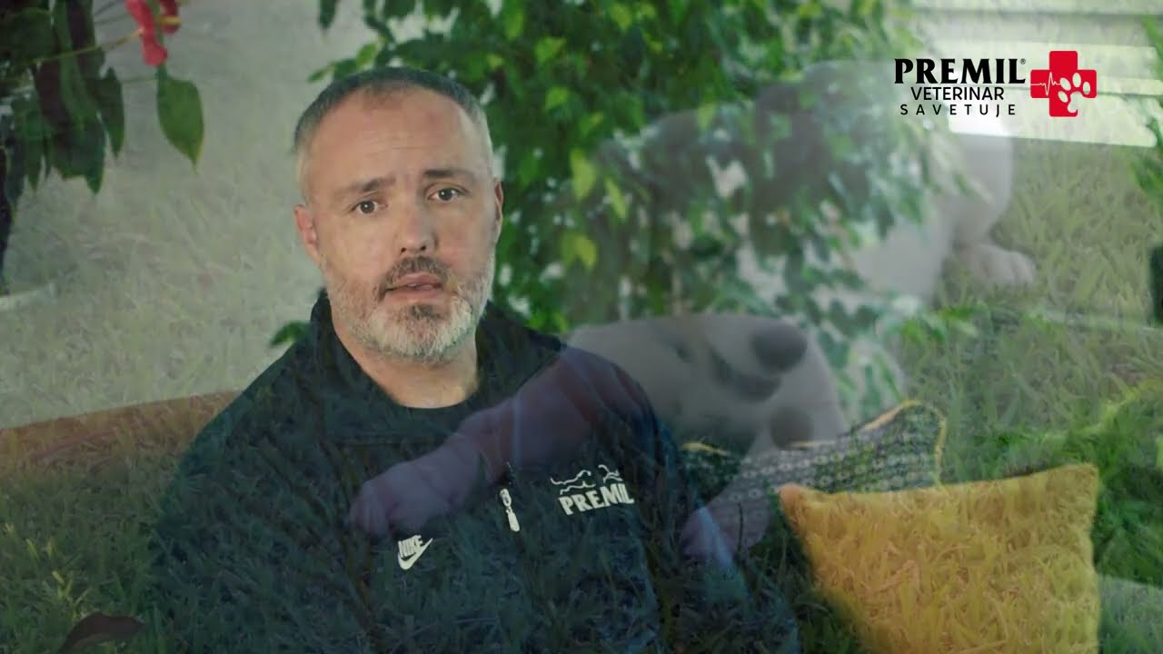 Kako hraniti &scaron;tene ili mladog psa?