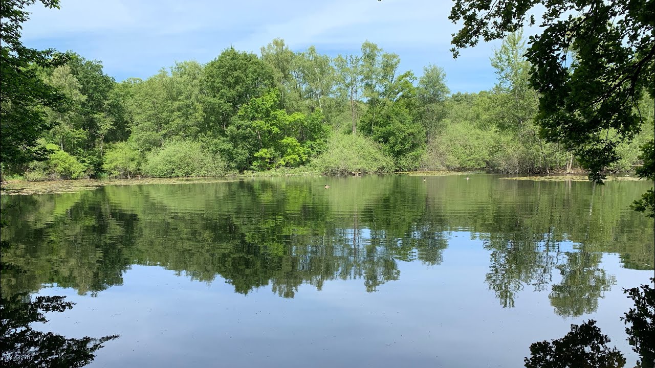 Troisdorf: Wanderung durch die Wahner Heide | Hiking