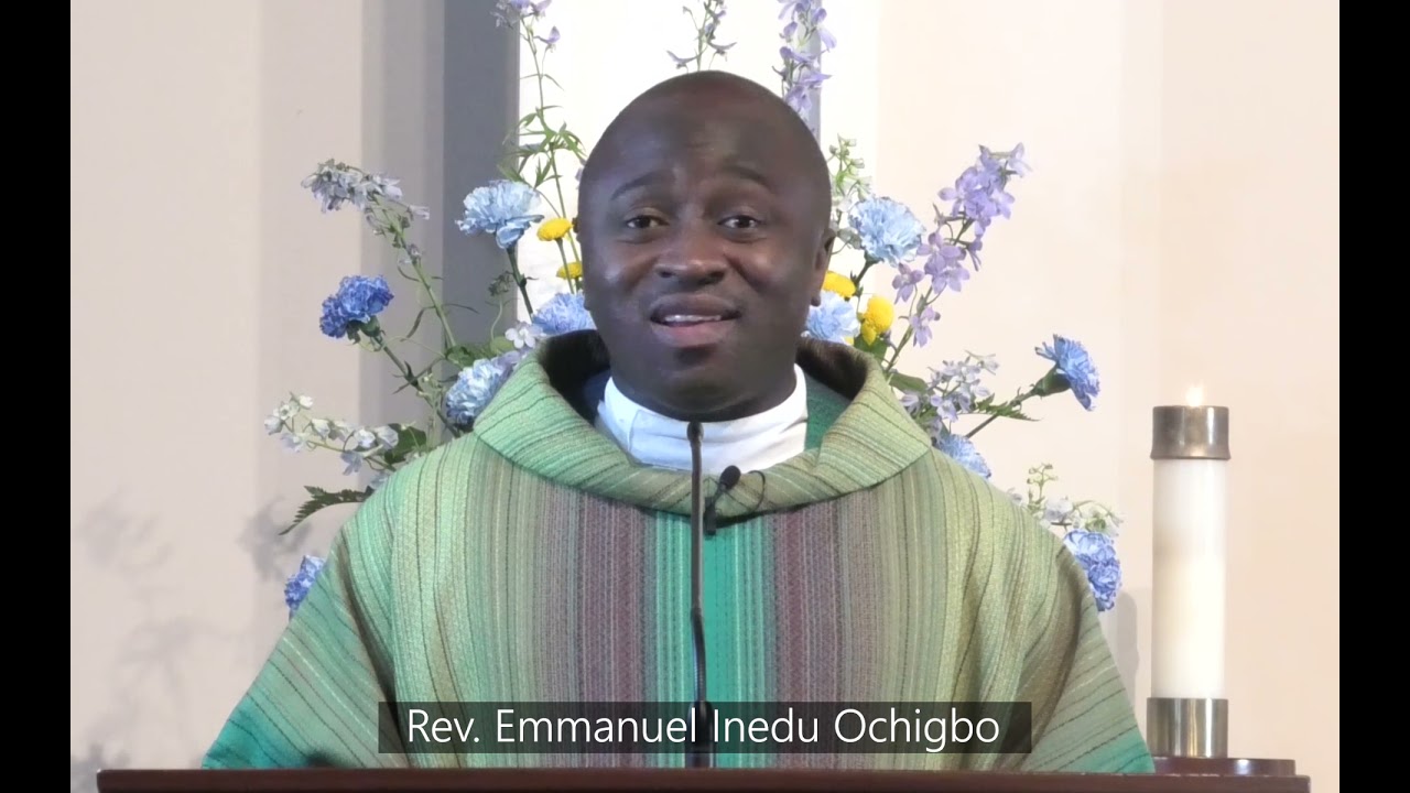 Homily for 15th Sunday in Ordinary Time Year B 2021 by Fr Emmanuel Ochigbo