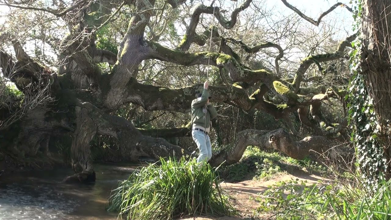 Never to Old for a Rope Swing. #idiots #rope #swing #spring #countryside #childhood