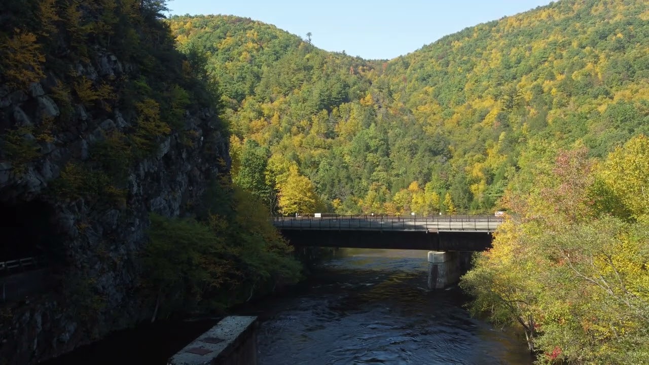 Glen Onoko PA
