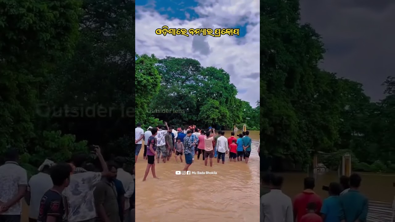 Crocodile Spotted in Flooded Village 😨🐊 | Brahmani River Flood | Odisha | #shorts