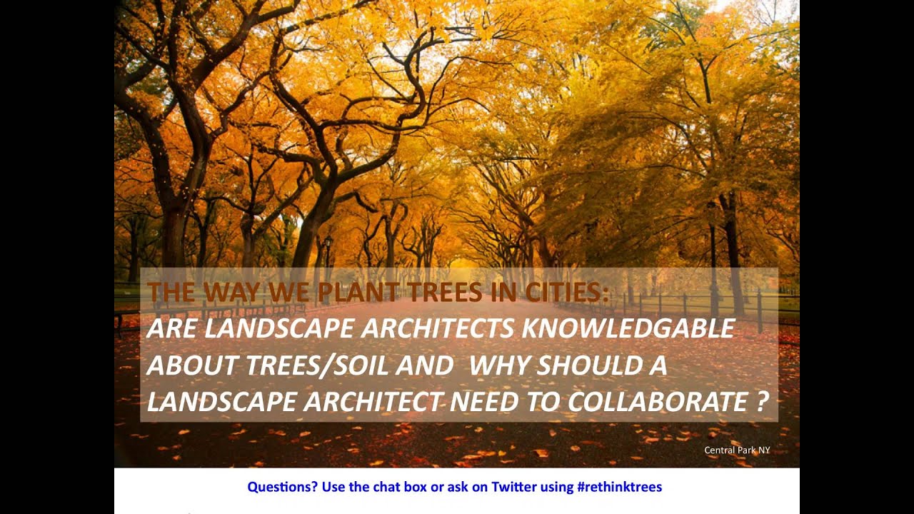 Webinar: Merging design and science to create new tree environments