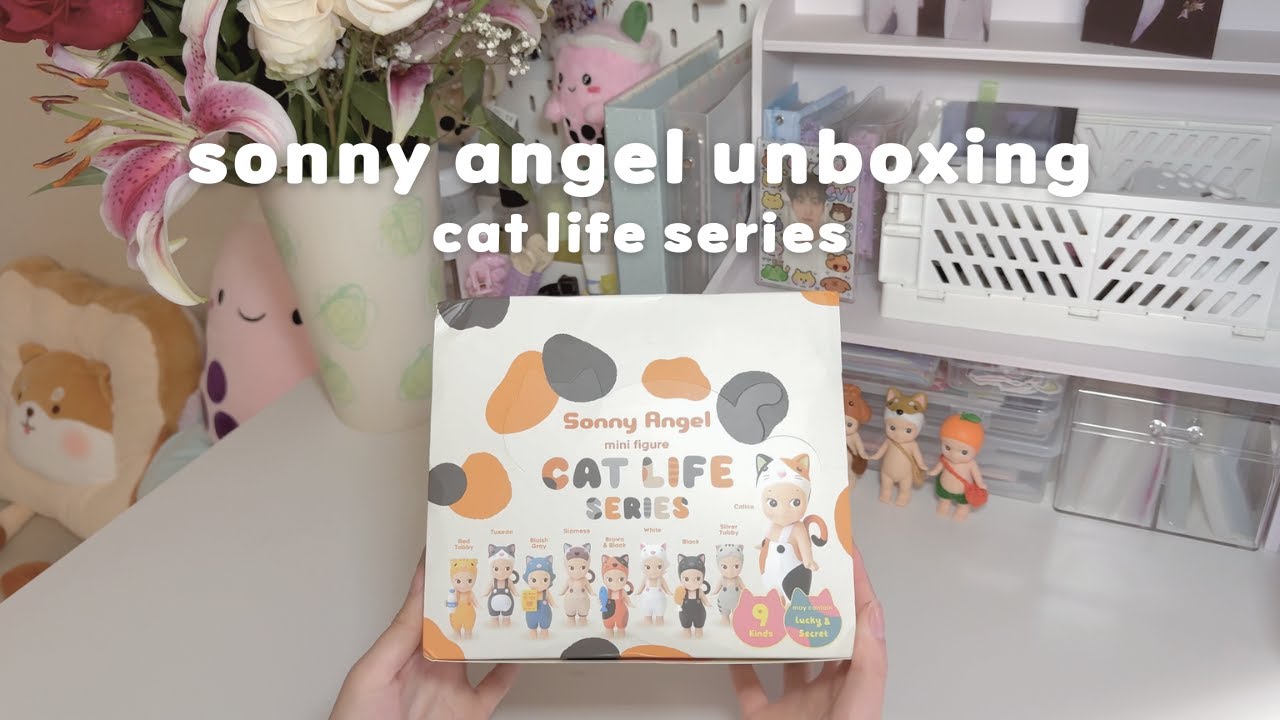 blindbox unboxing ᓚ₍ ^. .^₎ 🐾 | sonny angel cat life series