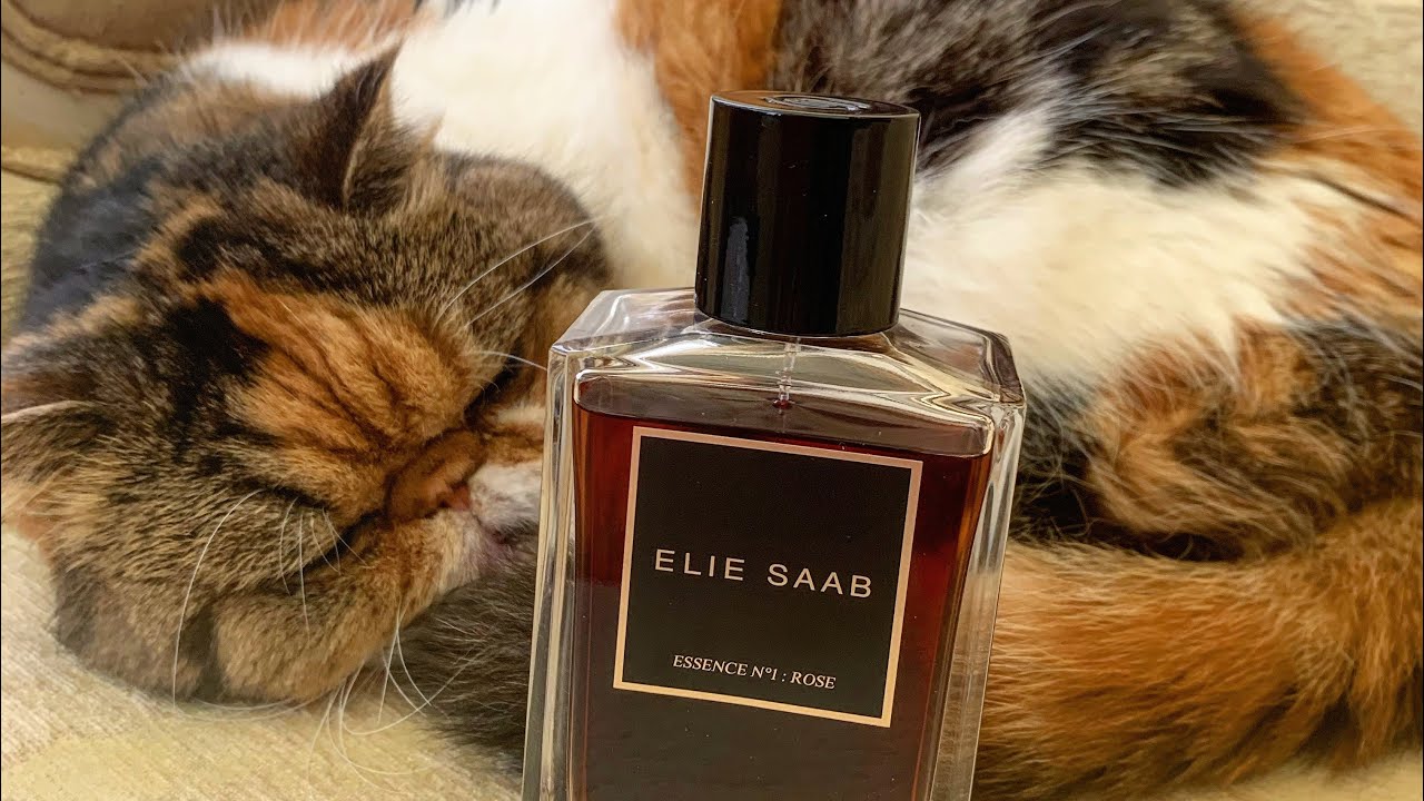 First Impressions Fragrance Review Elie Saab Essence No 1 Rose