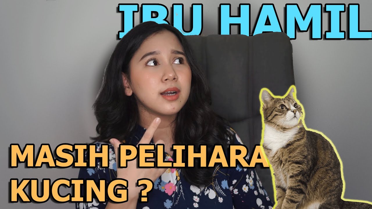 FAKTA TOXOPLASMA PADA KUCING, EFEK BUAT IBU HAMIL PENTING DITONTON !