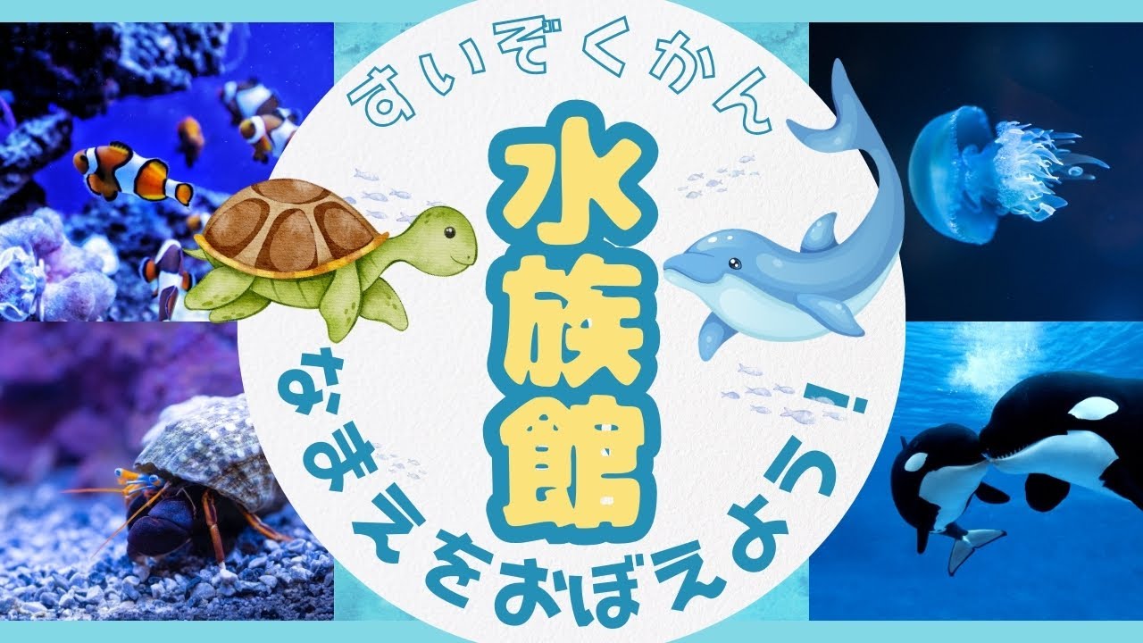 【水族館で名前を覚えよう】お名前言えるかなシリーズ！知育