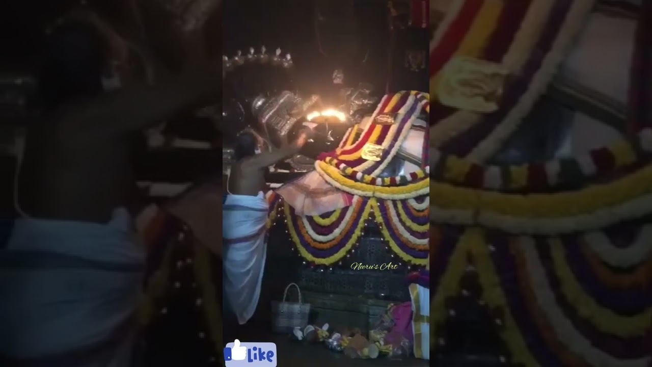 Sri Ranganatha swami temple  (Perumal) #Srirangam