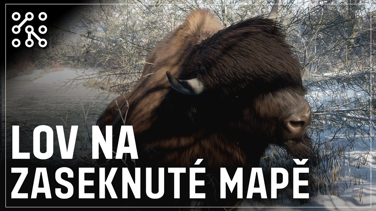 Vyber si co chceš střelit | theHunter: Call of the wild CZ |  Česky