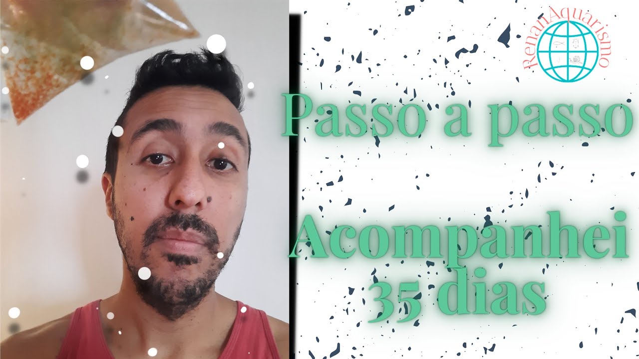 Daphnias passo a passo 35 dias