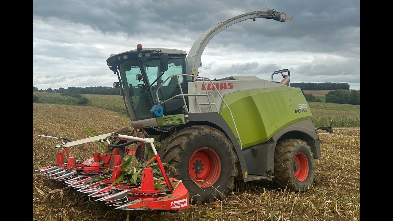 ENSILAGE 2k23 CLAAS 980 10 RANG