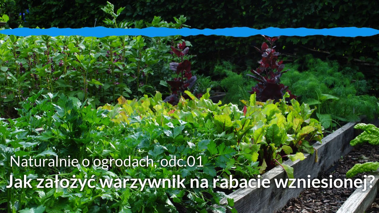 NoO 01: Jak założyć warzywnik na rabacie wzniesionej? Ogr&oacute;d warzywny