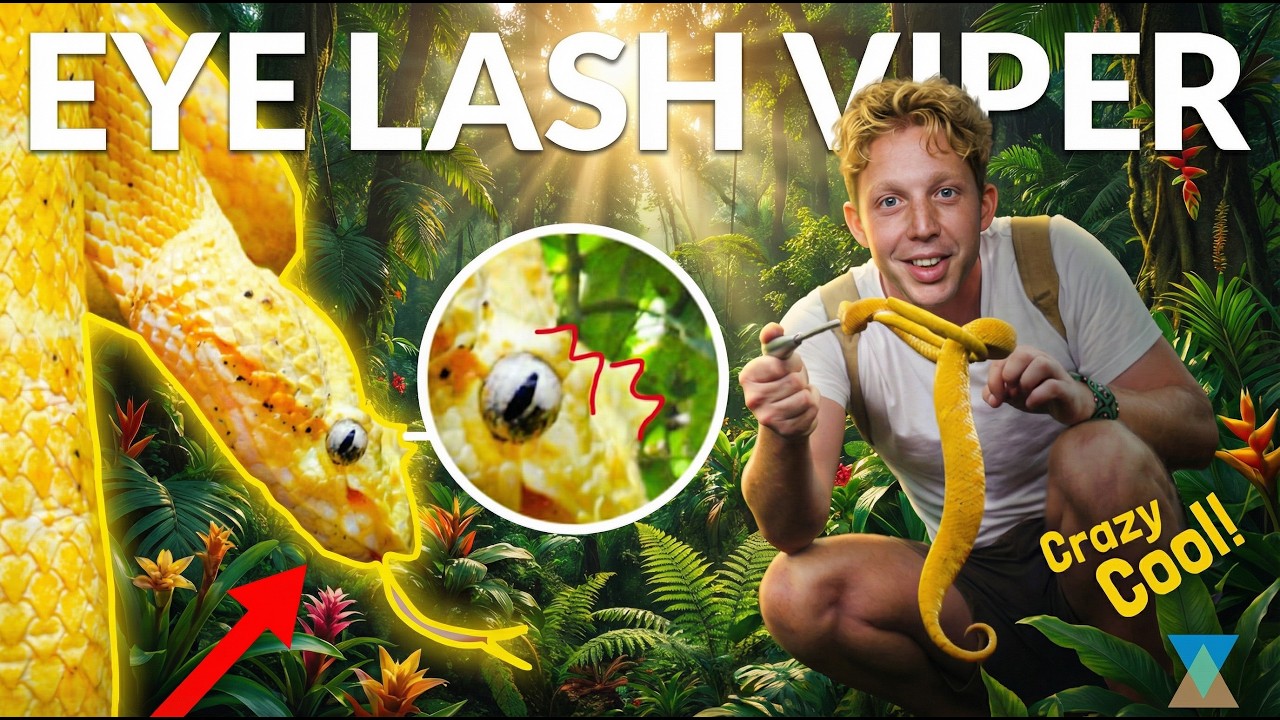 Why This Yellow Snake Has Eyelashes?