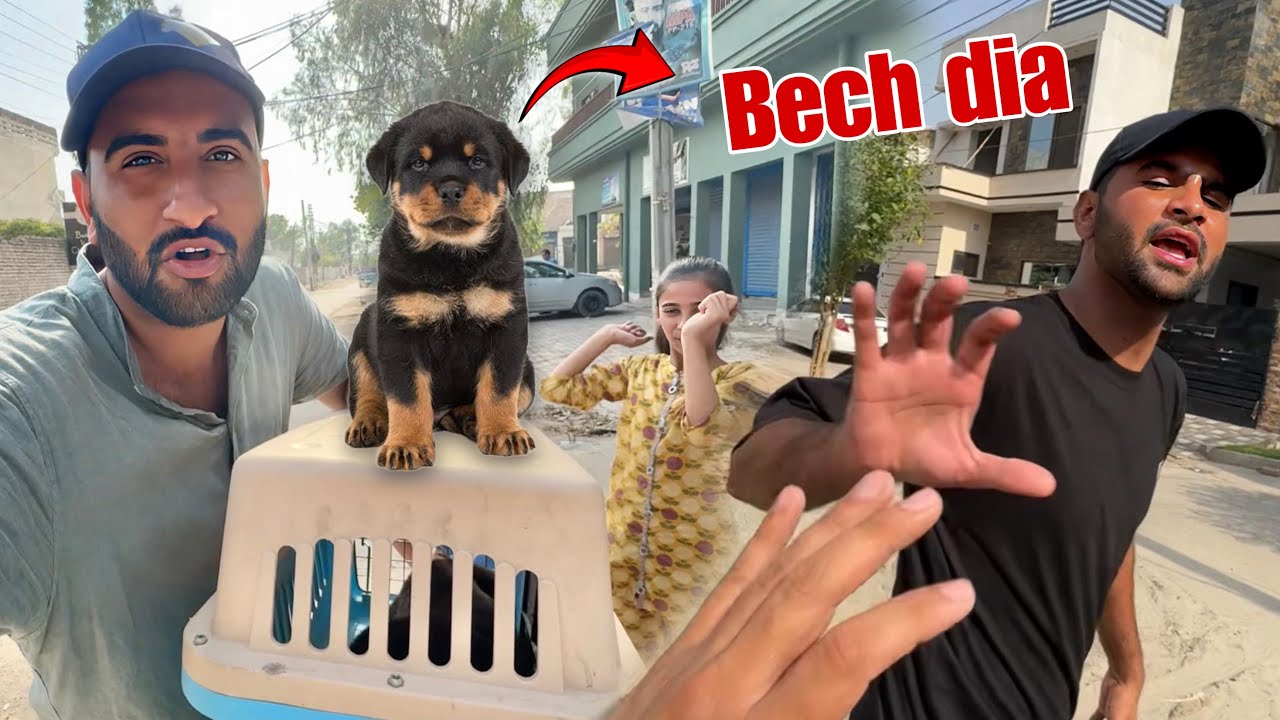 Prank With Sabtain Rottweiler Ko Bech Diya🤭😂