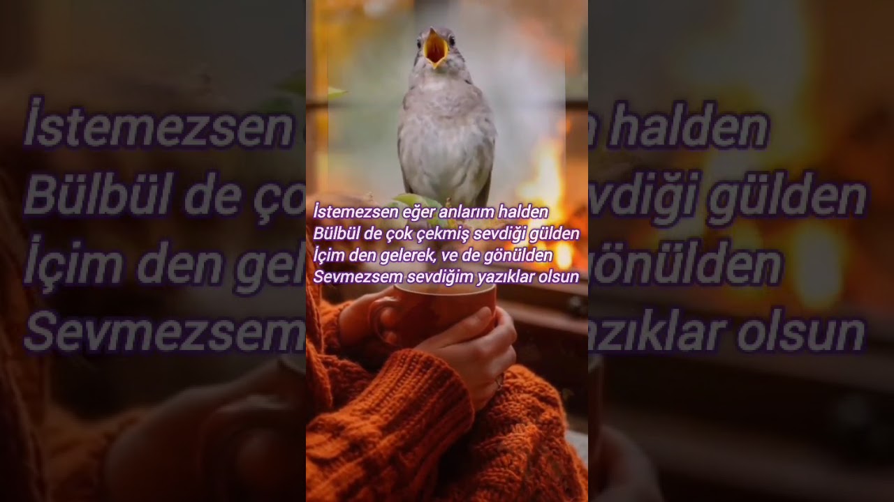 Sevmezsem Sevdiğim: Söz Nuh Ali Berk (Kul Hızır) Okuyan: Selahattin Ambarkütük (Abim) 