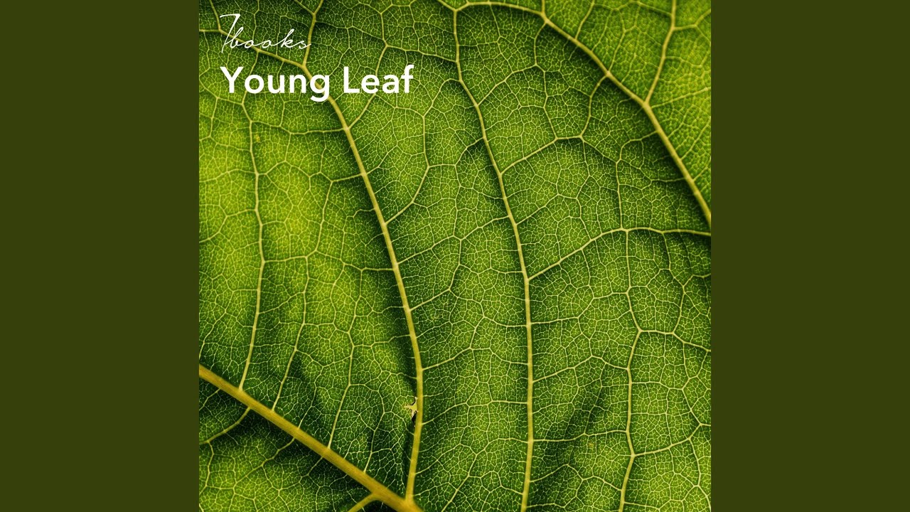 Young Leaf