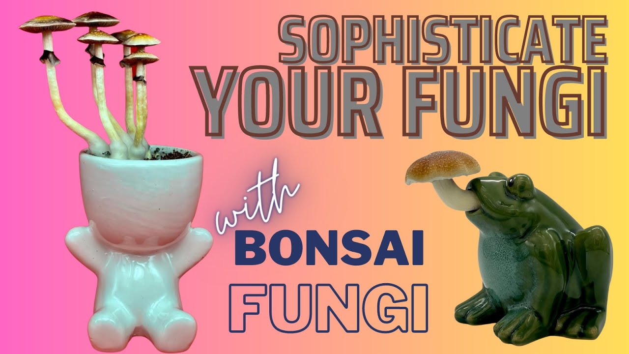 SOPHISTICATE YOUR FUNGI with Bonsai Fungi 🍄 ✨ The MycoGeeky Podcast