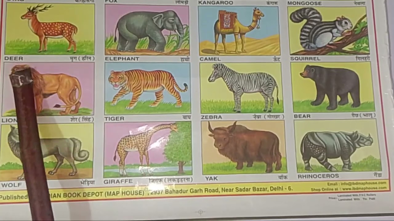 Animals Name for Kids | बच्चों के लिए जानवरों के नाम |
