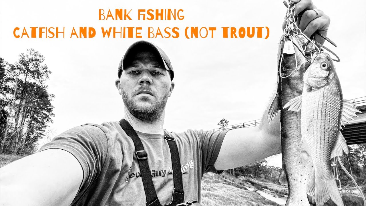 Bank Fishing for Catfish and White Bass (not TROUT!!)
