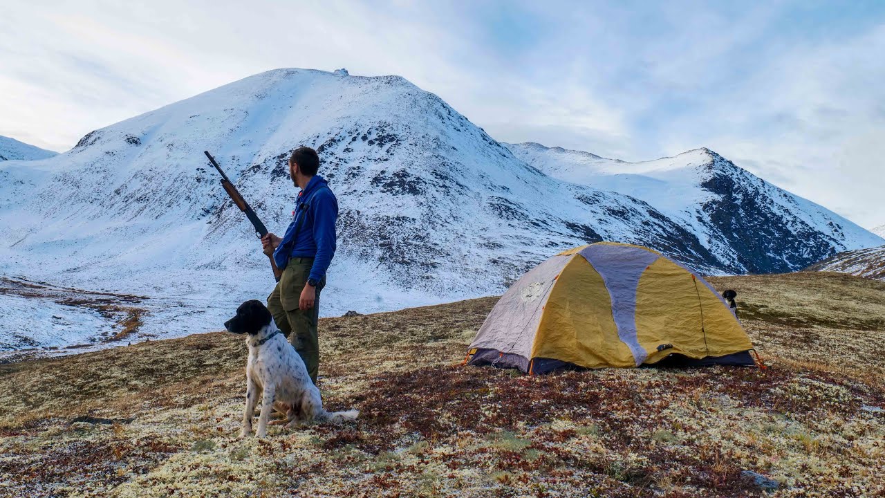 Overnight Bird Hunt. Ptarmigan hunting with Large Munsterlanders