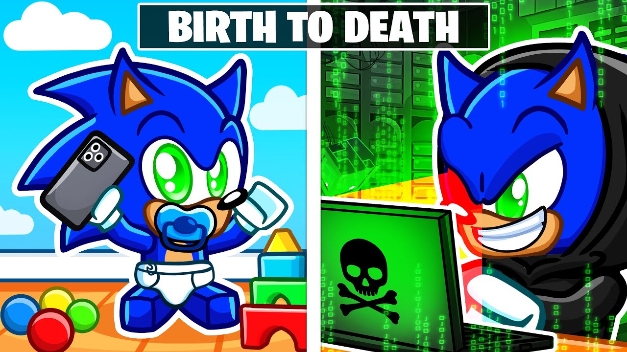 Birth To Death Of A HACKER In Roblox Snapchat!