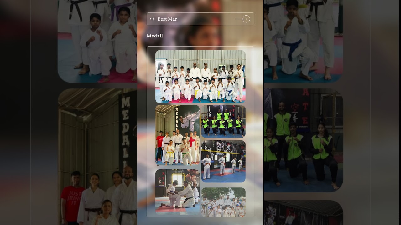 Medallion - karate classes in Chennai.