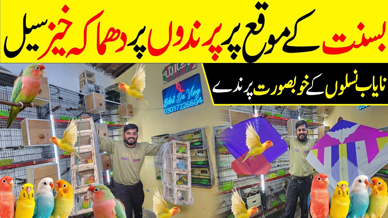 Bachon wale jore a gay Bohat Kam Rate pr #lahorientertainmentchannel #birds #birdsmarket #parrot