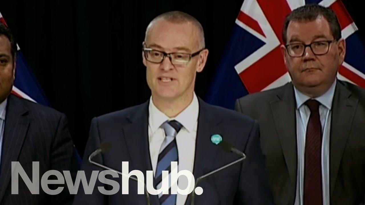 David Clark announces resignation as New Zealand's Health Minister | Newshub
