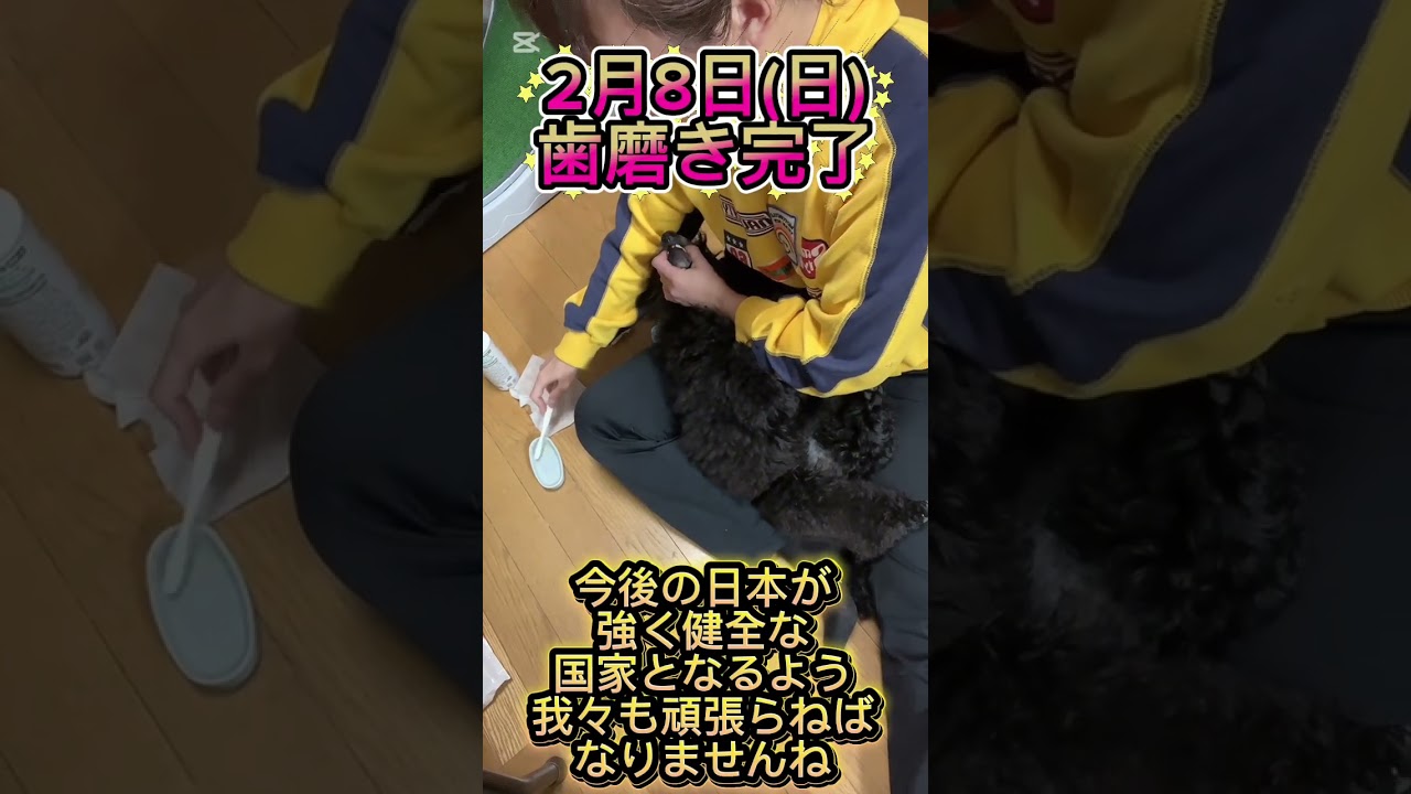 エクセレントマウスケアサロン認定店【Kelev】神戸市灘区ドッググルーミングサロン