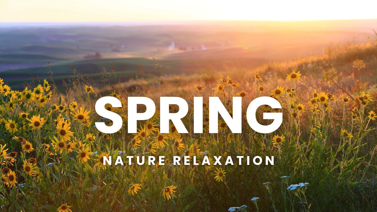 SPRING NATURE RELAXATION | BEAUTIFUL PIANO MUSIC