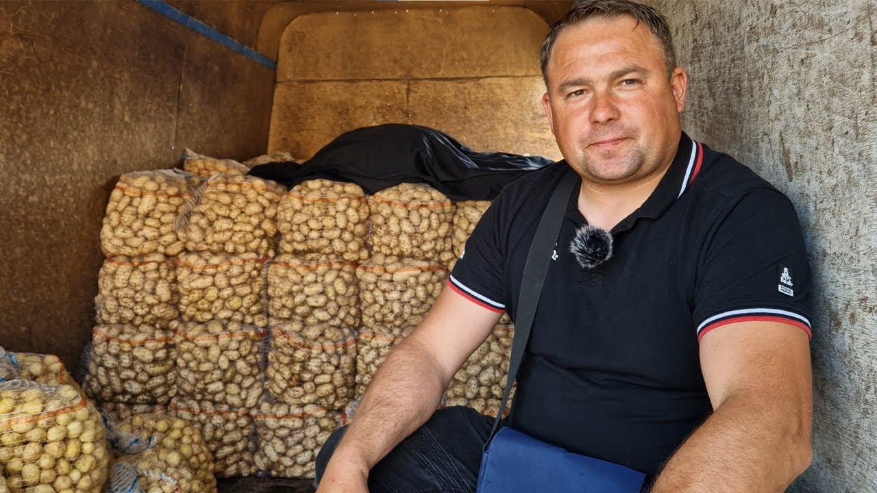 Młode ziemniaki na rynku w Broniszach – popyt i ceny 22.05.2023