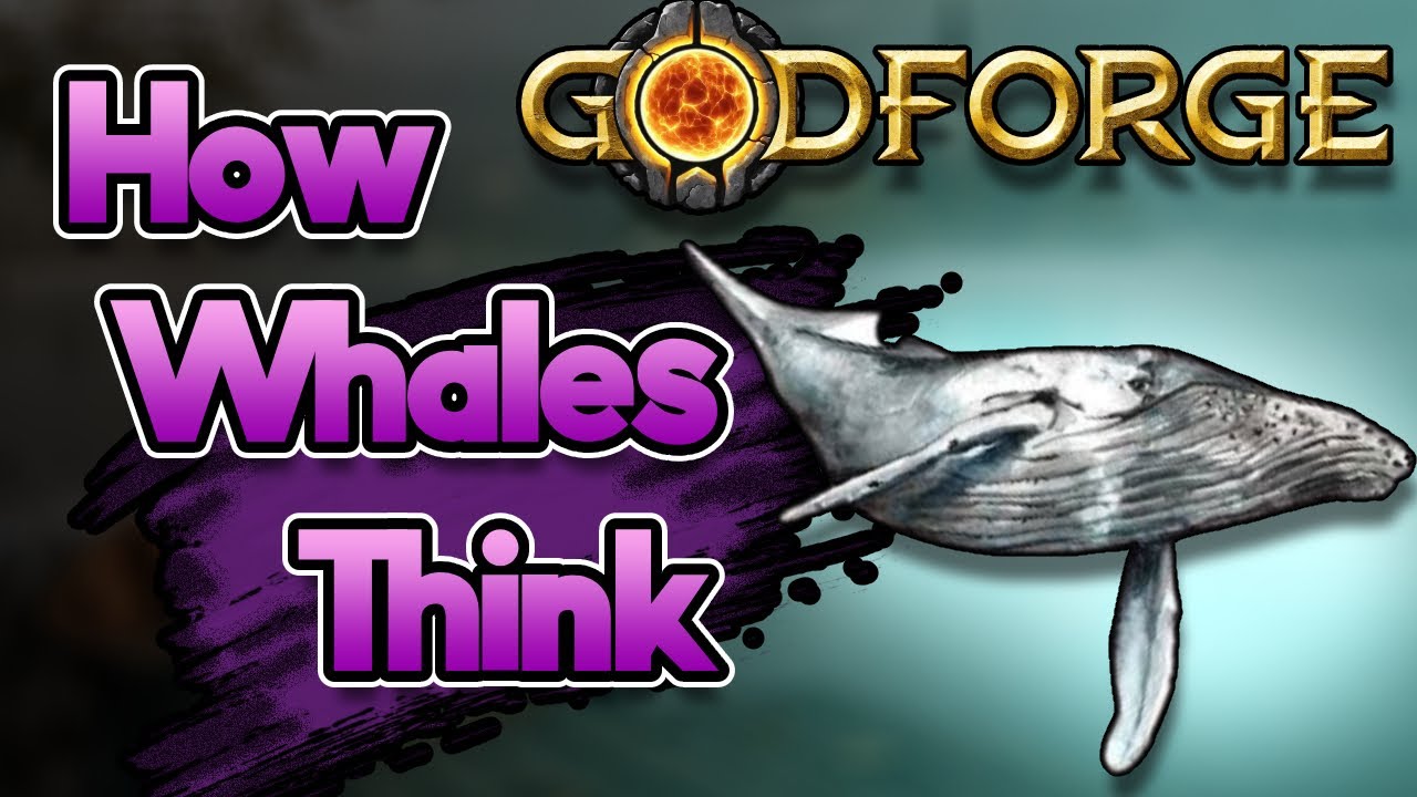 Godforge Big Spender shares his insight on monetization. || Community Interview