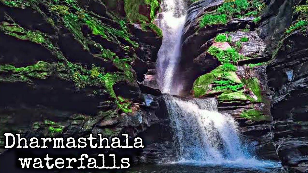 #dharmasthala #waterfall #nature #naturelovers #beautifuldestinations #travelblogger #summer