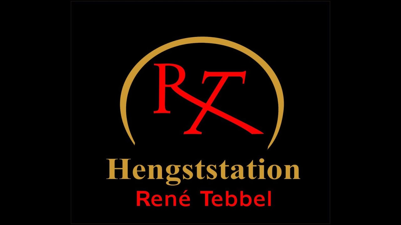 Giljandro van den Bosrand auf der Online-Hengstpräsentation der Hengststation Rene Tebbel