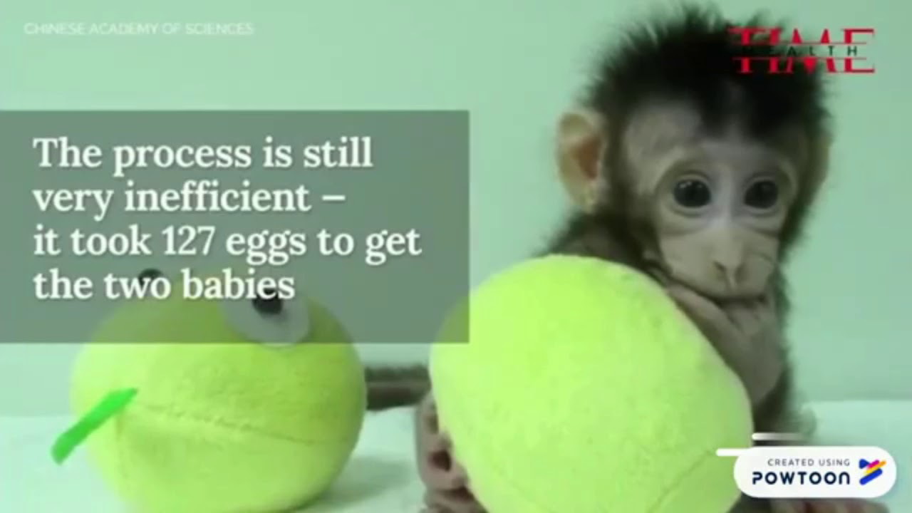 CIRI-CIRI SAINS DAN TEKNOLOGI DARI PERSPEKTIF ISLAM DAN BARAT