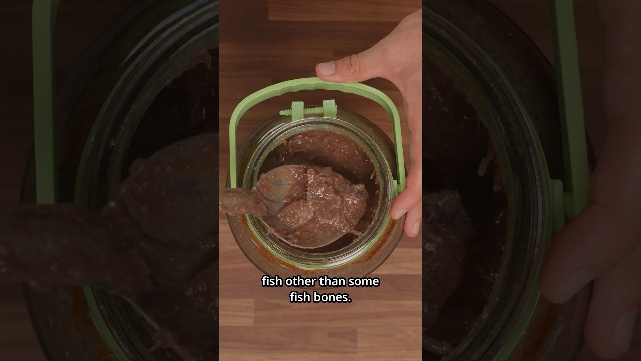 3 MONTHS FERMENTING RAW MACKEREL