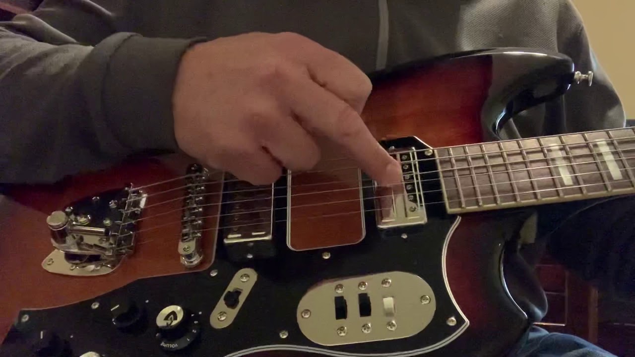 Guild S200 T Bird - controls explained