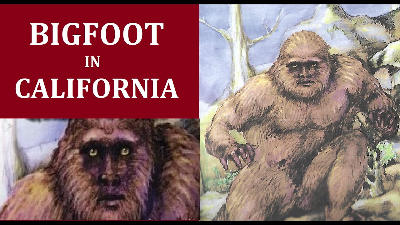 Bigfoot in California