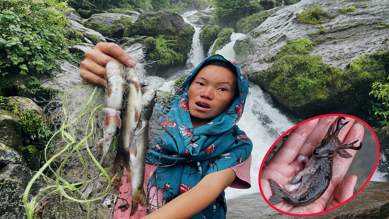 Solo Village Fishing Girl ! Himalayan Trout Fishing Cooking And Eating ! Sakkali Life