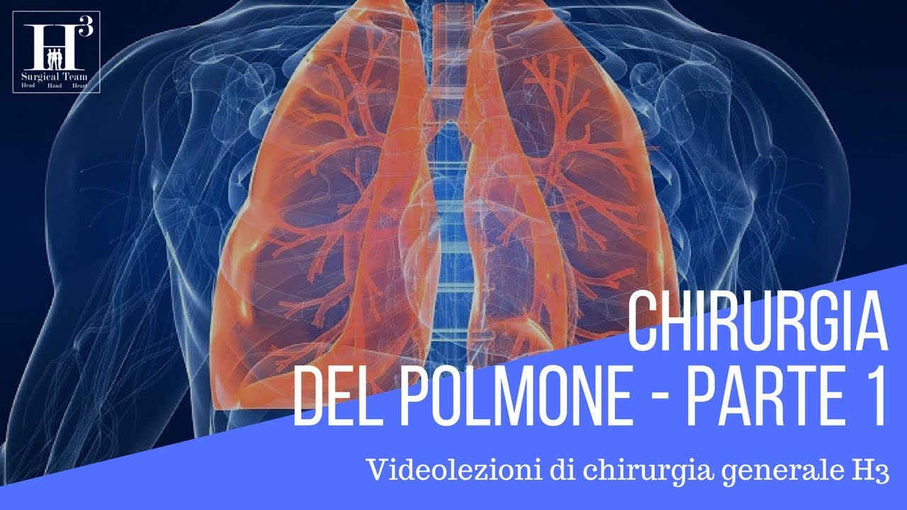 Chirurgia del polmone parte 1 - anatomia, fisiologia e diagnostica