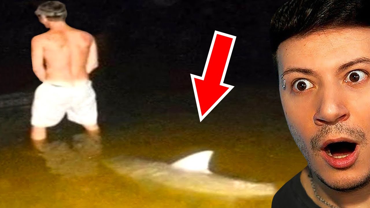 UN VIDEO STRANAMENTE DIVERTENTE...PER DAVVERO