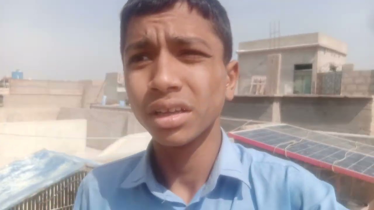 Finally come back Kar Diya new pigeons update 🙄🕊️🕊️🤭
