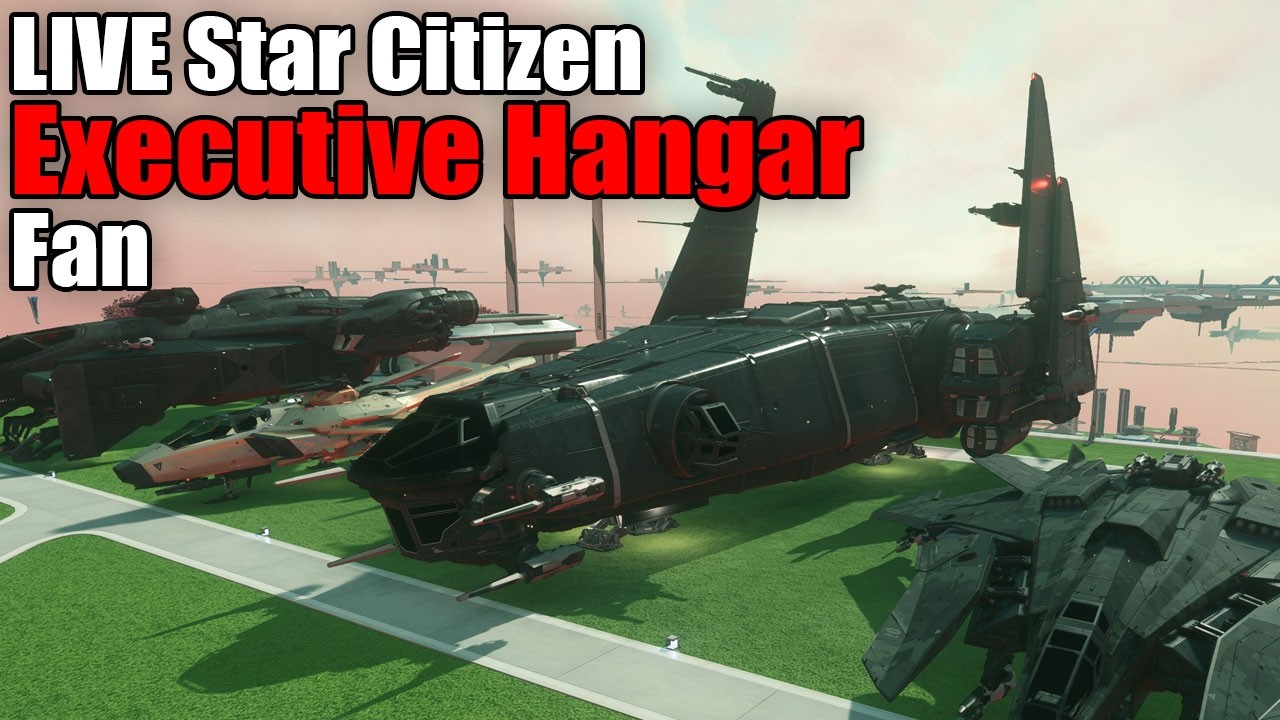 Executive Hangar Fan - Star Citizen Livestream