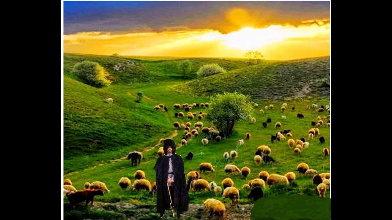 Coban bayatısı