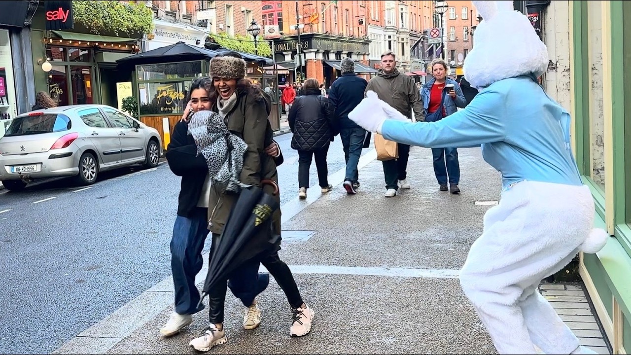 Funny Bunny Prank Clips