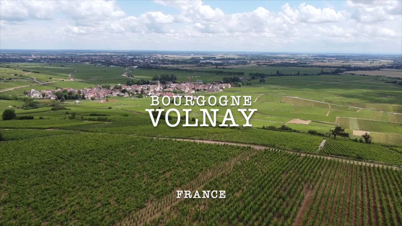 Traitements de la vigne 2020 En Bourgogne !