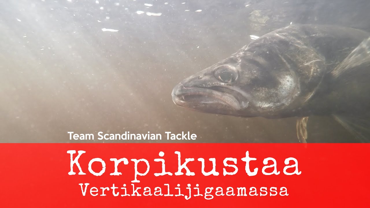Team Scandinavian Tackle - Korpikustaa vertikaalijigaamassa